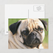 Briefkaart horizontale Sjabloon - Gepersonaliseerd (Voorkant / Achterkant)