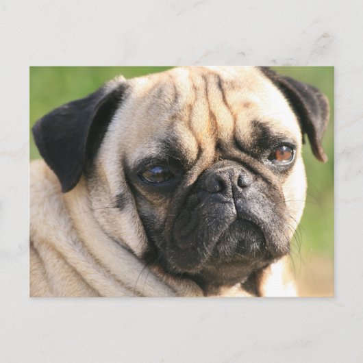 Briefkaart horizontale Sjabloon - Gepersonaliseerd (Voorkant)