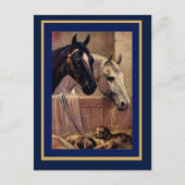 Briefkaart  Horses Dogs (Voorkant)