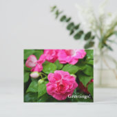 Briefkaart - Hot Ticket (Staand voorkant)