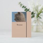 Briefkaart Houd contact met het aangepaste Zazzle  (Staand voorkant)