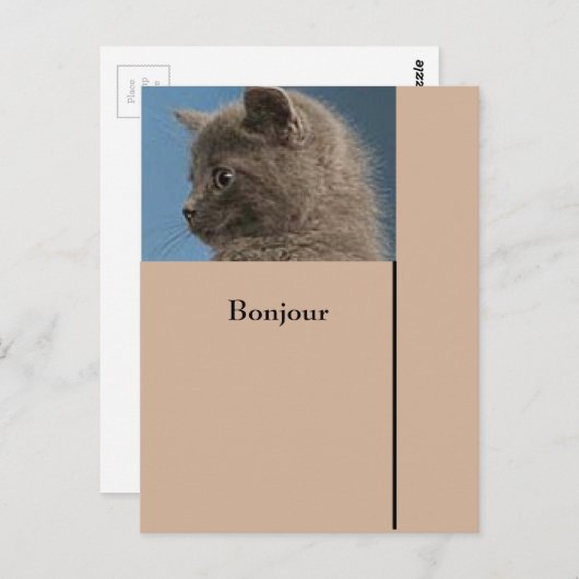 Briefkaart Houd contact met het aangepaste Zazzle  (Voorkant / Achterkant)