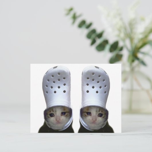 Briefkaart Huilen Cat Croc Pet Meme (Staand voorkant)