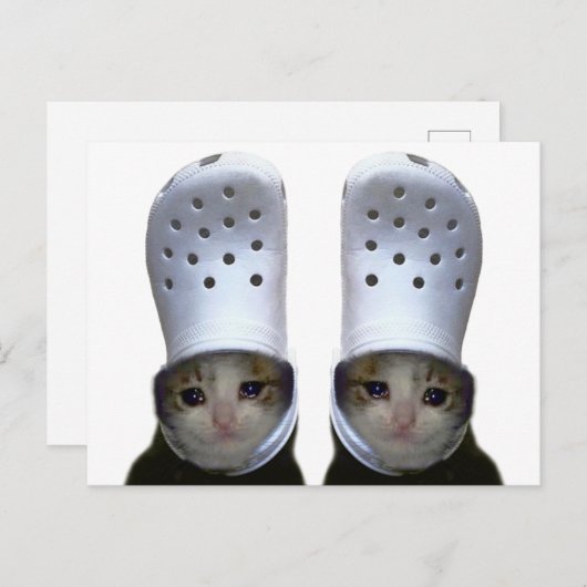 Briefkaart Huilen Cat Croc Pet Meme (Voorkant / Achterkant)