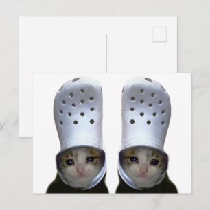 Briefkaart Huilen Cat Croc Pet Meme