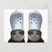 Briefkaart Huilen Cat Croc Pet Meme (Voorkant)