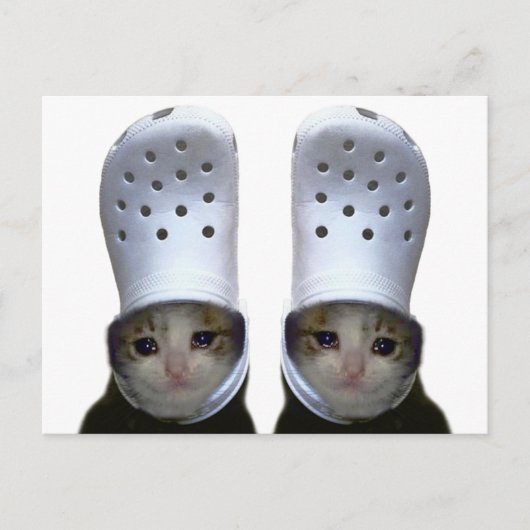 Briefkaart Huilen Cat Croc Pet Meme (Voorkant)