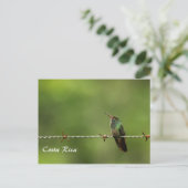 Briefkaart Hummingbird Costa Rica (Staand voorkant)