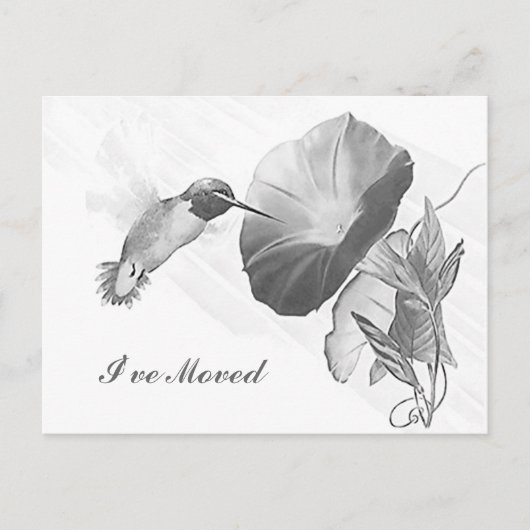 Briefkaart Hummingbird & Morning Glory Ik ben verh (Voorkant)