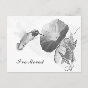 Briefkaart Hummingbird & Morning Glory Ik heb PC v