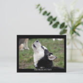 briefkaart husky (Staand voorkant)
