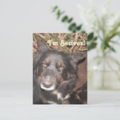 Briefkaart Husky Collie Cross (Staand voorkant)