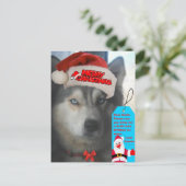 Briefkaart Husky Kerstmis wil kerstman kerstman (Staand voorkant)