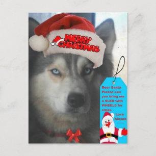 Briefkaart Husky Kerstmis wil kerstman kerstman