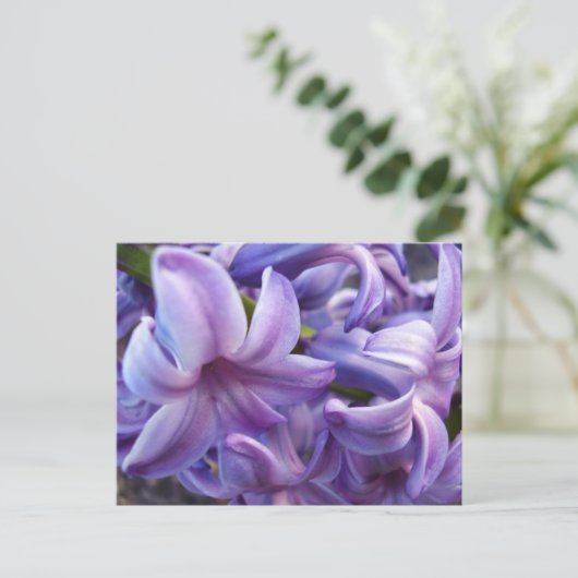 Briefkaart Hyacinth Flowers (Staand voorkant)