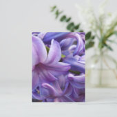 Briefkaart Hyacinth Flowers (Staand voorkant)
