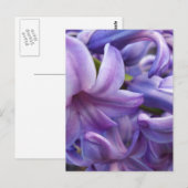 Briefkaart Hyacinth Flowers (Voorkant / Achterkant)