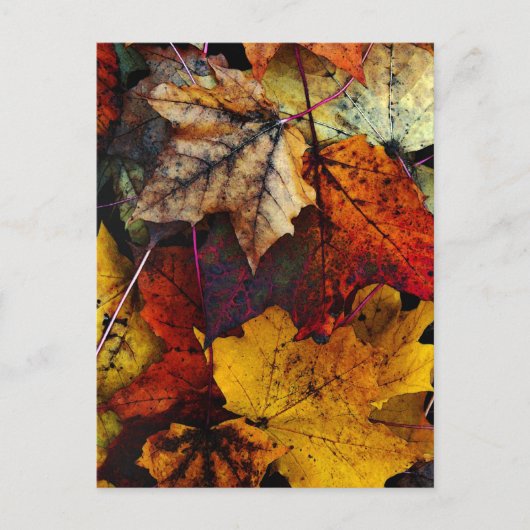 Briefkaart - 'I Love Herfst' van Joanne Coyle (Voorkant)