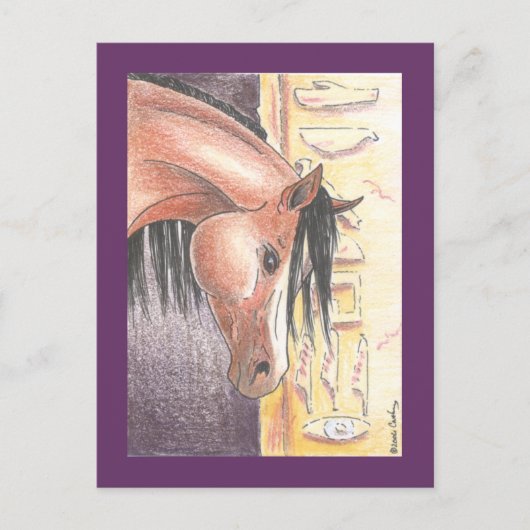 Briefkaart "Ibn Denah" (Voorkant)