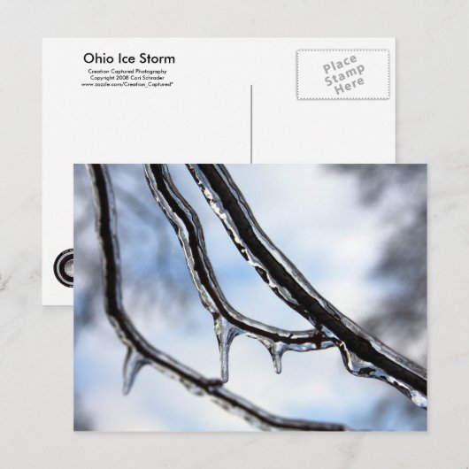 Briefkaart Icy Branches (Voorkant / Achterkant)