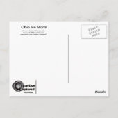 Briefkaart Icy Branches (Achterkant)