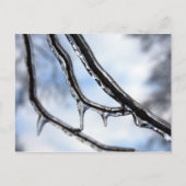 Briefkaart Icy Branches (Voorkant)
