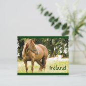 Briefkaart Ierland (paarden in het veld) (Staand voorkant)