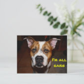 briefkaart ik ben alle oren (Staand voorkant)