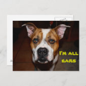 briefkaart ik ben alle oren (Voorkant / Achterkant)