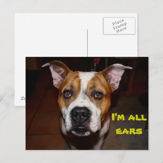 briefkaart ik ben alle oren (Voorkant / Achterkant)