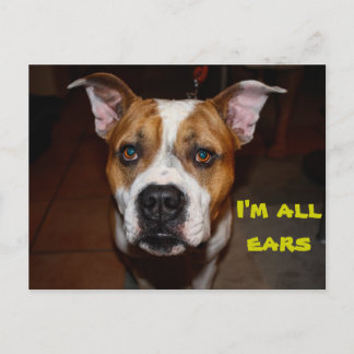 briefkaart ik ben alle oren