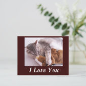 Briefkaart, ik hou van je briefkaart (Staand voorkant)