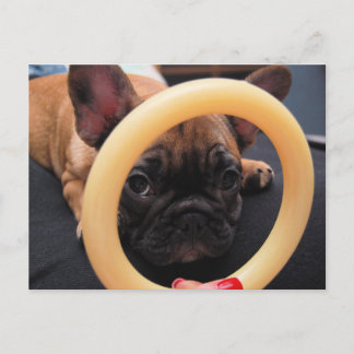 briefkaart "Ik zie je"