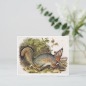 Briefkaart  illustratie (Staand voorkant)