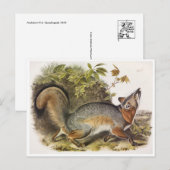 Briefkaart  illustratie (Voorkant / Achterkant)