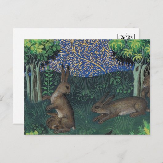 Briefkaart  illustratie (Voorkant / Achterkant)