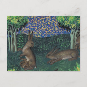 Briefkaart  illustratie