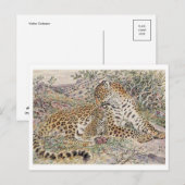 Briefkaart  illustratie (Voorkant / Achterkant)