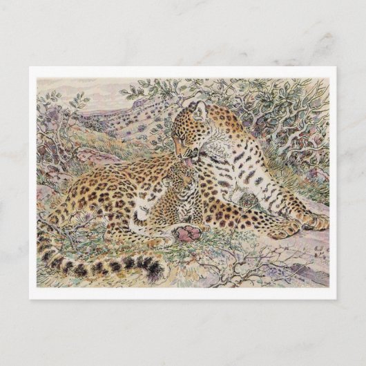 Briefkaart  illustratie (Voorkant)