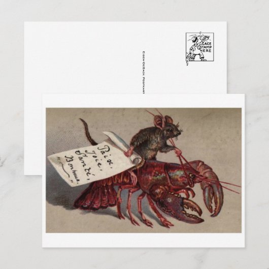 Briefkaart  illustratie (Voorkant / Achterkant)