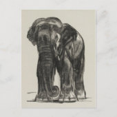 Briefkaart  illustratie (Voorkant)