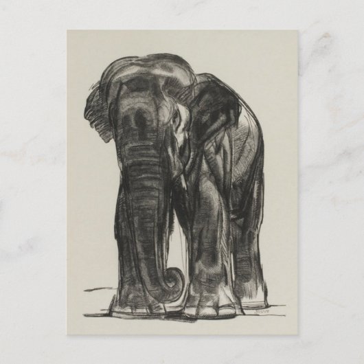 Briefkaart  illustratie (Voorkant)