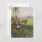 Briefkaart  illustratie (Voorkant / Achterkant)