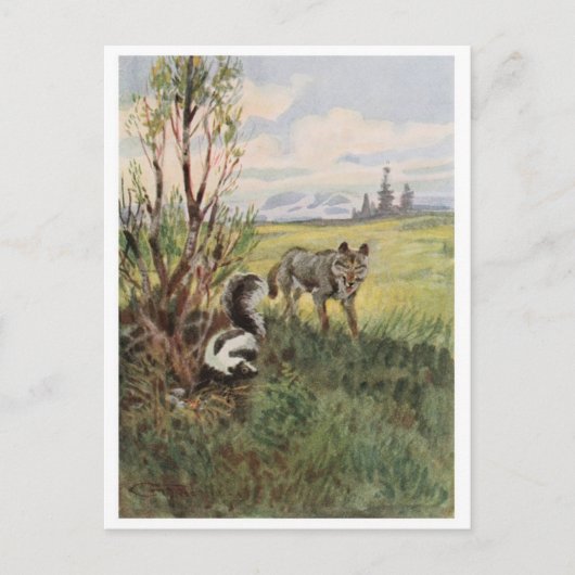 Briefkaart  illustratie (Voorkant)