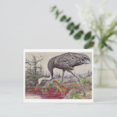 Briefkaart  illustratie (Staand voorkant)