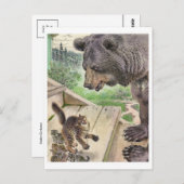 Briefkaart  illustratie (Voorkant / Achterkant)