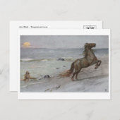 Briefkaart  illustratie (Voorkant / Achterkant)