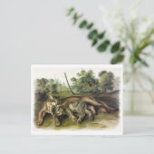 Briefkaart  illustratie (Staand voorkant)