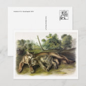 Briefkaart  illustratie (Voorkant / Achterkant)