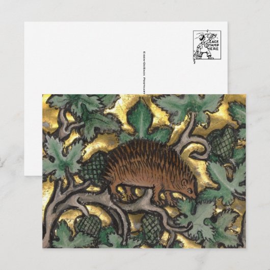 Briefkaart  illustratie (Voorkant / Achterkant)